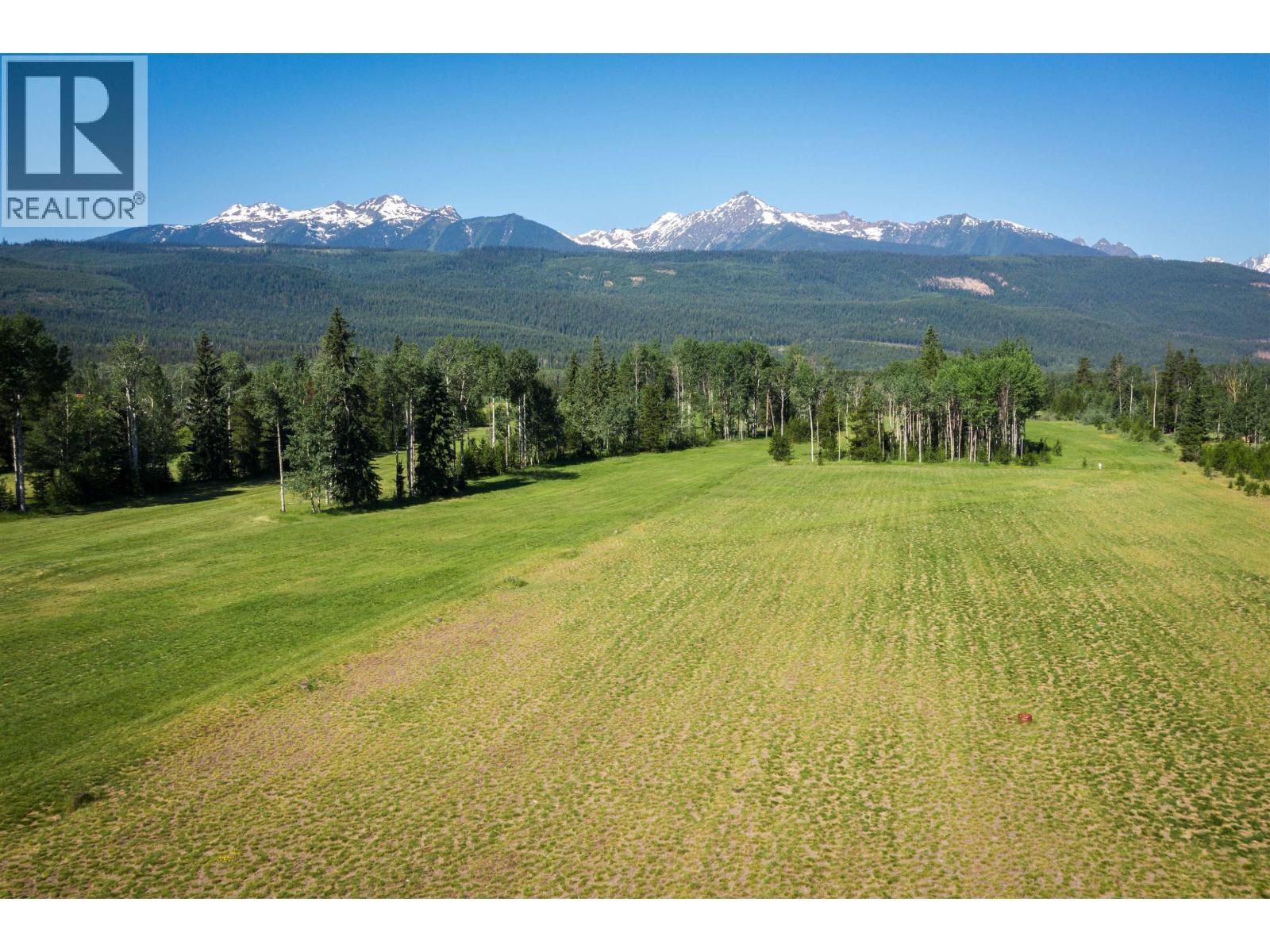 1655 S Highway 5, Valemount, British Columbia  V0E 2Z0 - Photo 5 - C8079497