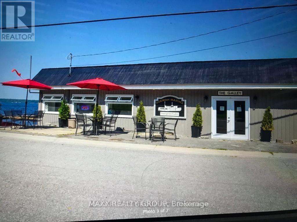 Lt 24 Birchcliff Avenue, Kawartha Lakes, Ontario K0M 1L0 - Photo 4 - X13434938