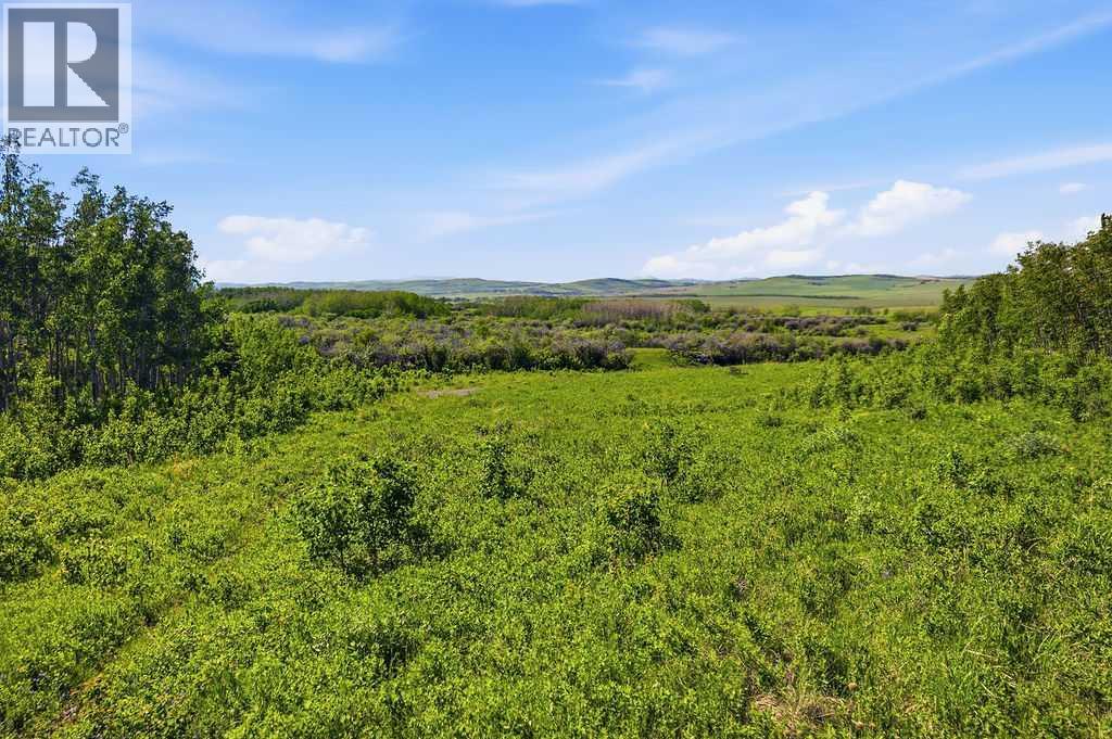 80+ Acres SE - 1 - 19 - 2 - W5, Rural Foothills County, Alberta  T0L 1H0 - Photo 25 - A2318866