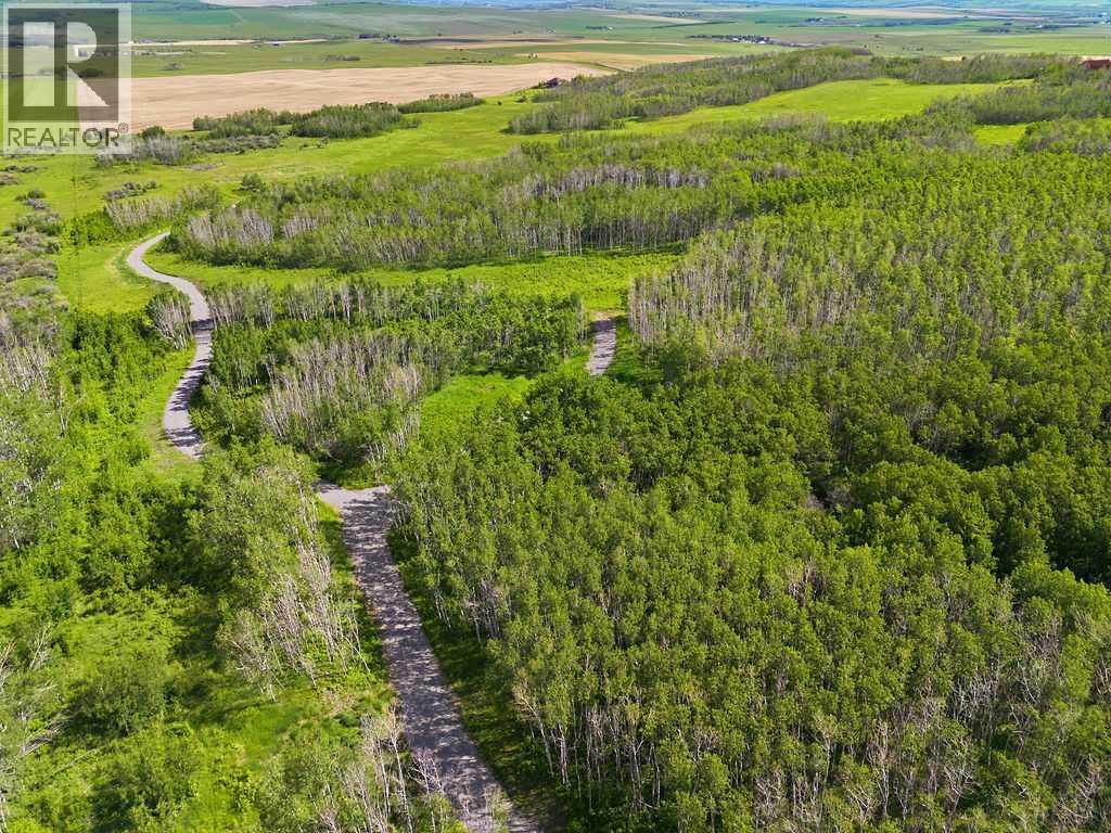 80+ Acres SE - 1 - 19 - 2 - W5, Rural Foothills County, Alberta  T0L 1H0 - Photo 7 - A2318866