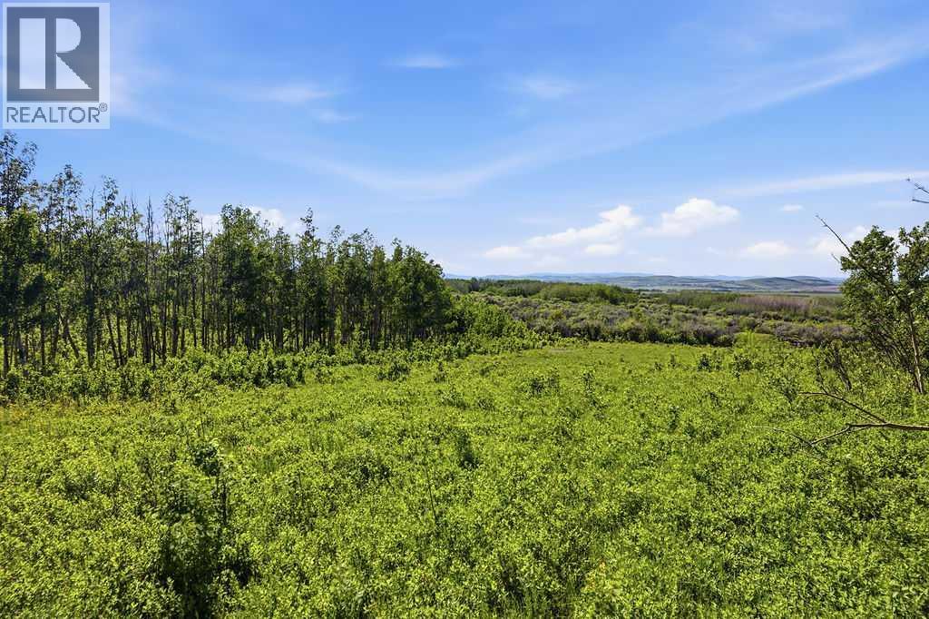 80+ Acres SE - 1 - 19 - 2 - W5, Rural Foothills County, Alberta  T0L 1H0 - Photo 23 - A2318866