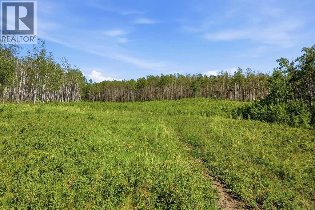 80+ Acres SE - 1 - 19 - 2 - W5, Rural Foothills County, Alberta  T0L 1H0 - Photo 24 - A2318866