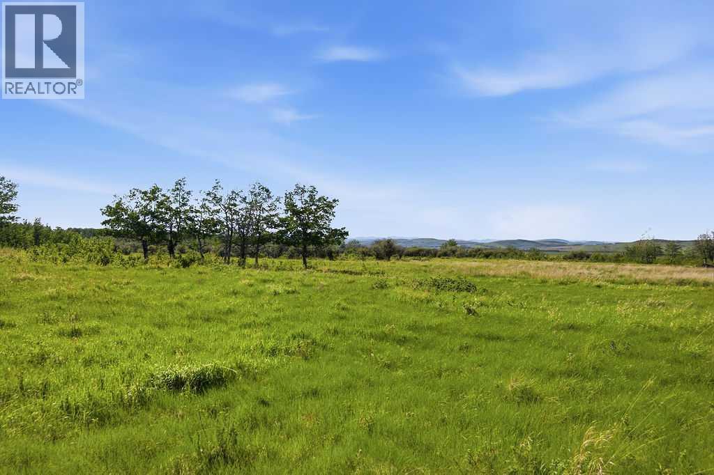 80+ Acres SE - 1 - 19 - 2 - W5, Rural Foothills County, Alberta  T0L 1H0 - Photo 34 - A2318866