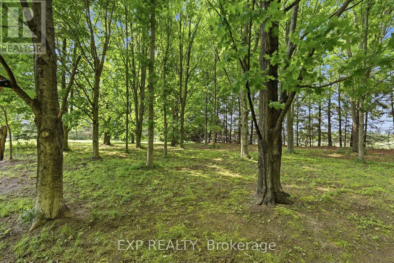 1602 Third Street, St. Catharines, Ontario  L2R 6P9 - Photo 32 - X13412818