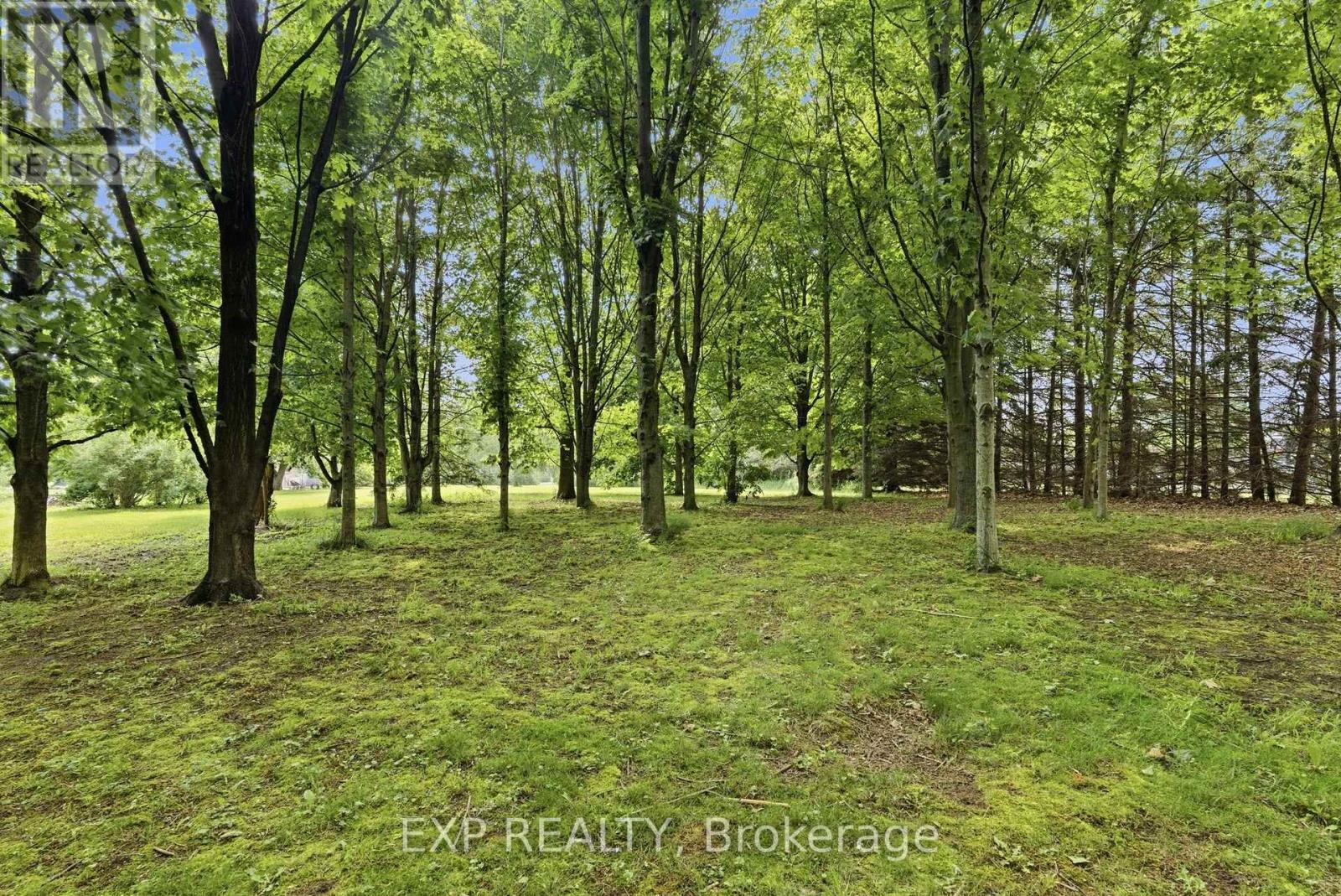 1602 Third Street, St. Catharines, Ontario  L2R 6P9 - Photo 34 - X13412818