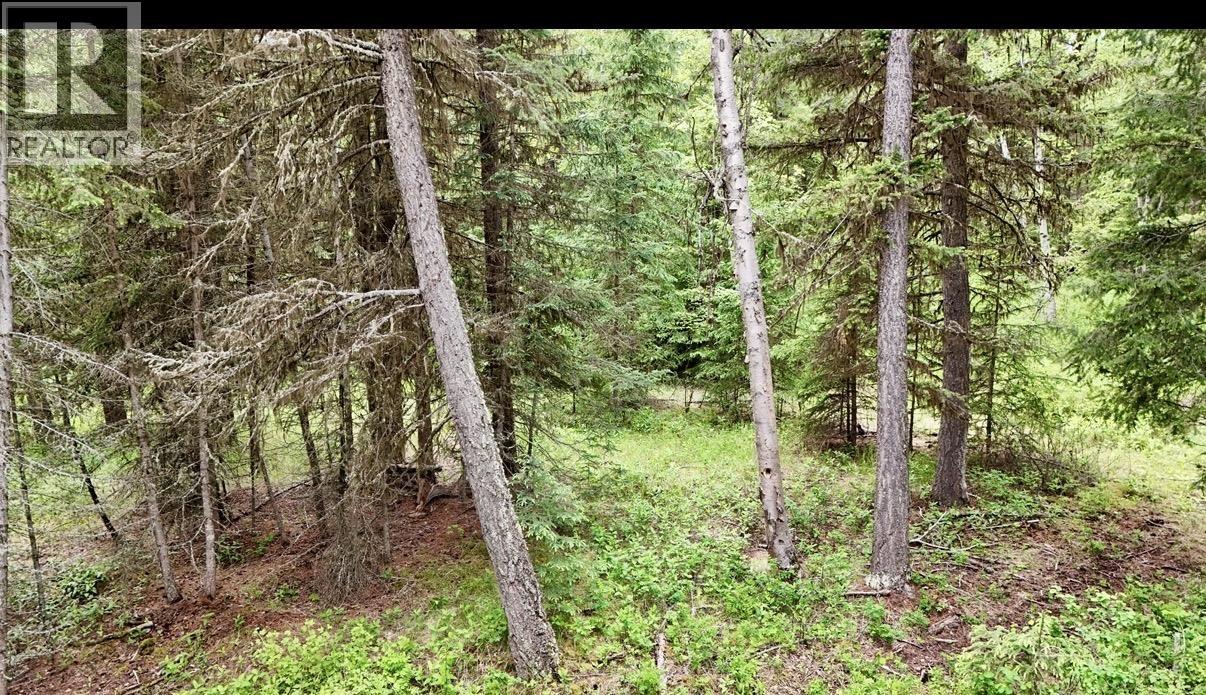 Lot A Big Lake Road, Williams Lake, British Columbia  V0L 1G0 - Photo 6 - R3135204