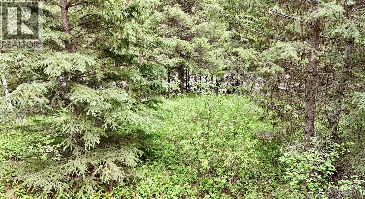 Lot A Big Lake Road, Williams Lake, British Columbia  V0L 1G0 - Photo 7 - R3135204