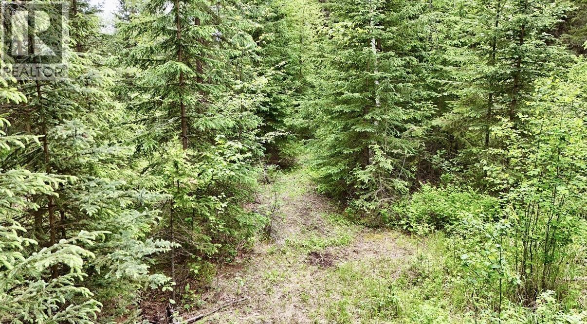 Lot A Big Lake Road, Williams Lake, British Columbia  V0L 1G0 - Photo 8 - R3135204