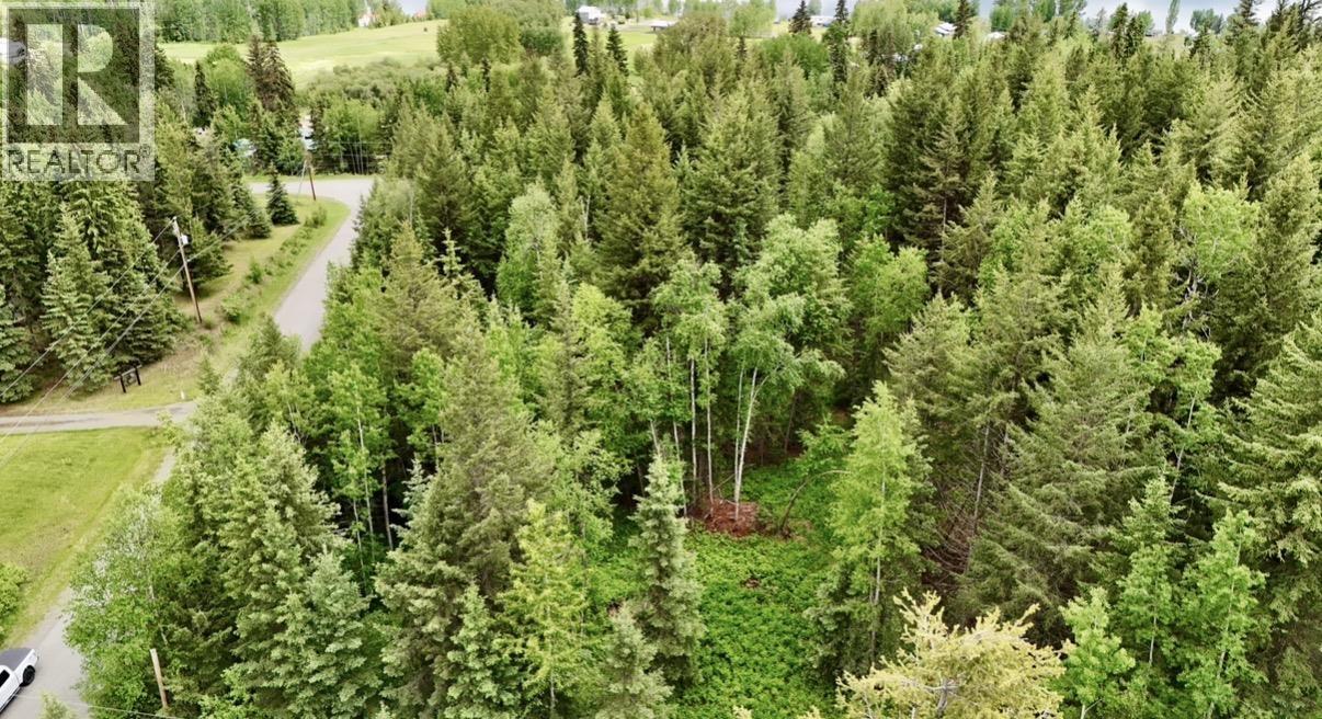 Lot A Big Lake Road, Williams Lake, British Columbia  V0L 1G0 - Photo 11 - R3135204
