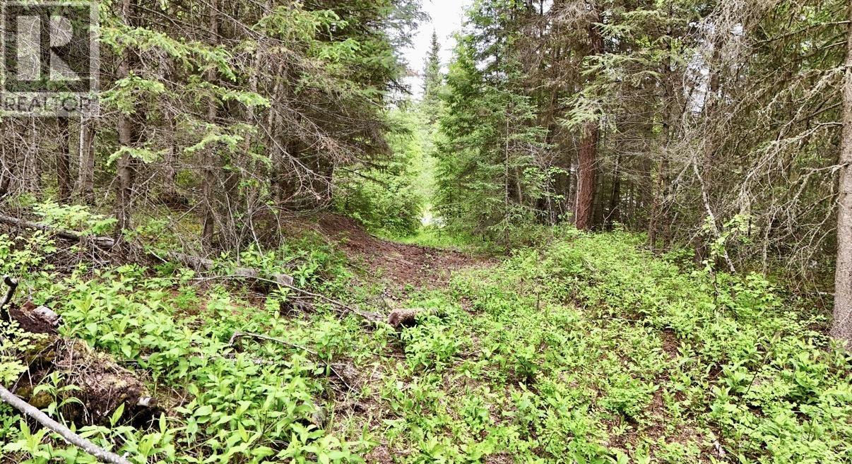 Lot A Big Lake Road, Williams Lake, British Columbia  V0L 1G0 - Photo 21 - R3135204
