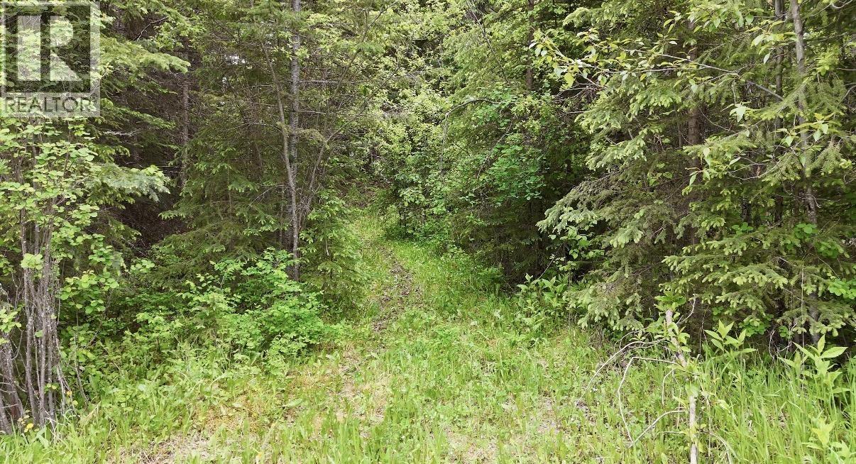 Lot A Big Lake Road, Williams Lake, British Columbia  V0L 1G0 - Photo 20 - R3135204