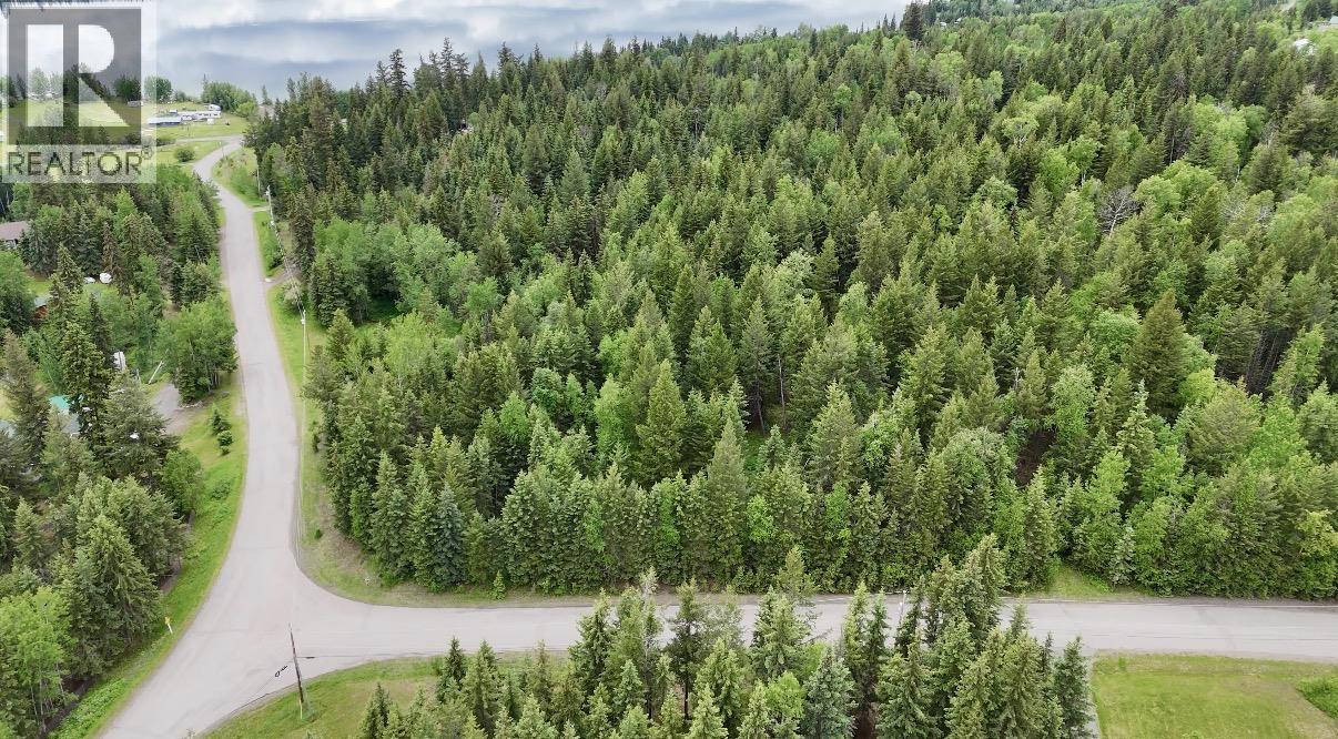 Lot A Big Lake Road, Williams Lake, British Columbia  V0L 1G0 - Photo 14 - R3135204