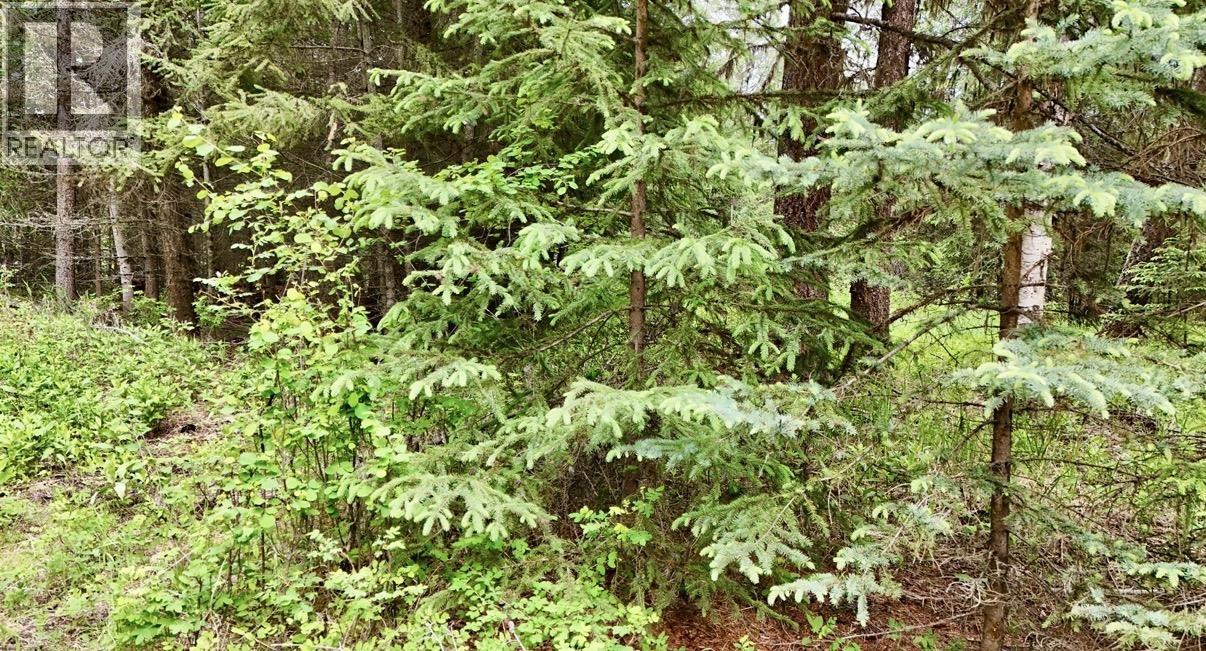 Lot A Big Lake Road, Williams Lake, British Columbia  V0L 1G0 - Photo 23 - R3135204