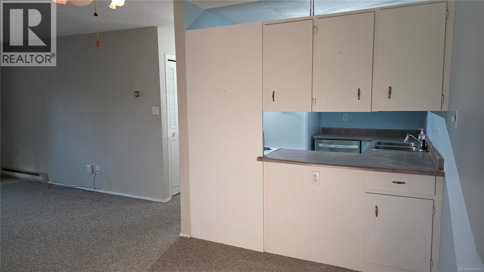 412 1525 Hillside Ave, Victoria, British Columbia  V8T 2C1 - Photo 10 - 1040093