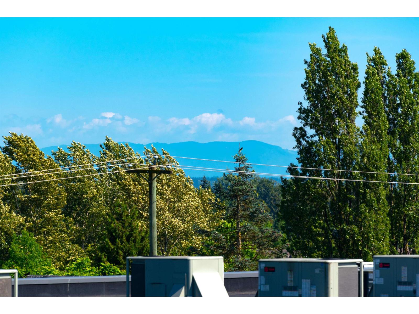 304 15956 86a Avenue, Surrey, British Columbia  V4N 6N8 - Photo 33 - R3135070