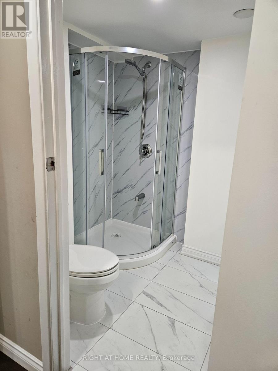 Basement - 56 Mccallum Drive, Richmond Hill, Ontario  L4C 7S8 - Photo 17 - N13435400