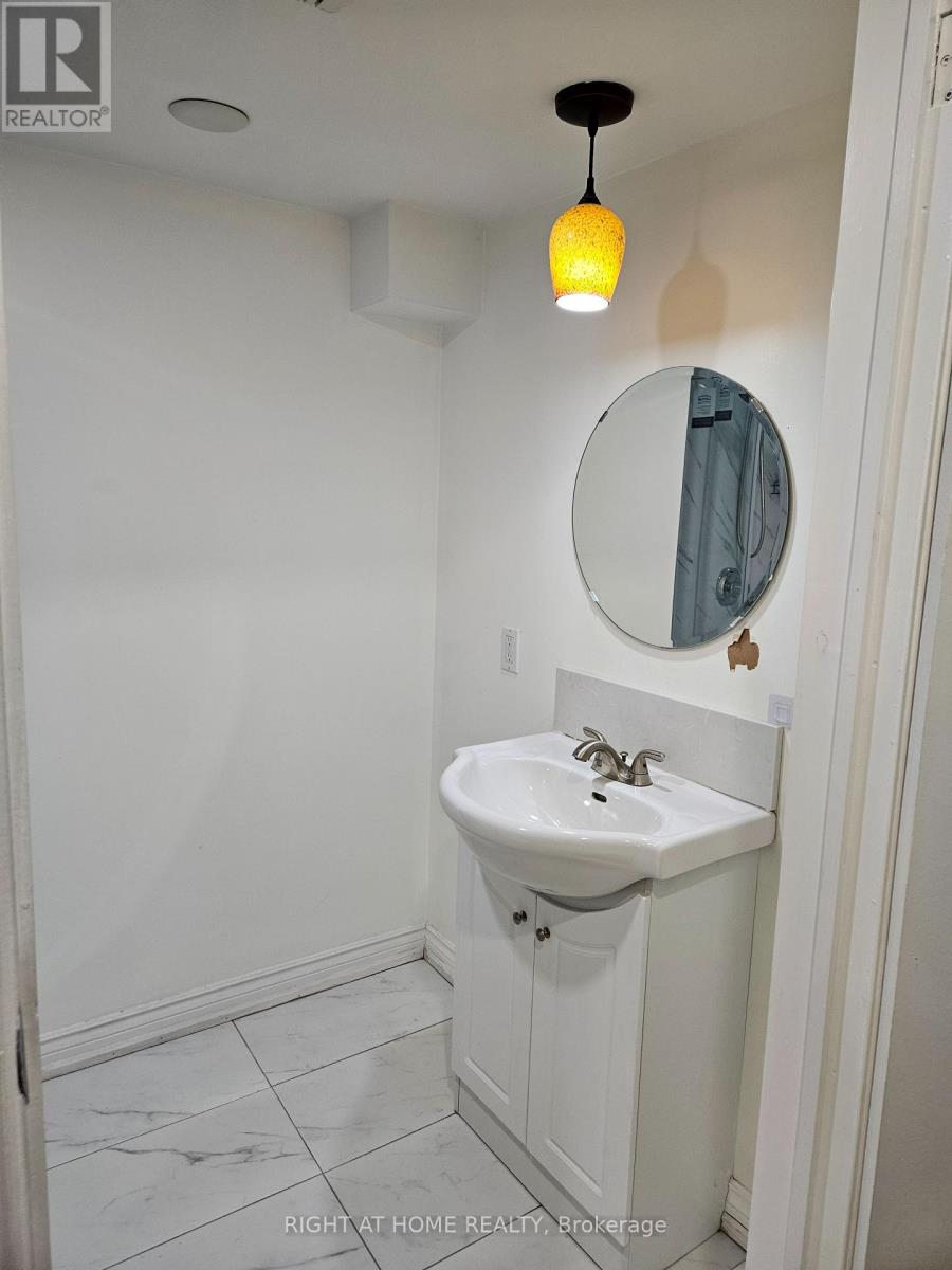 Basement - 56 Mccallum Drive, Richmond Hill, Ontario  L4C 7S8 - Photo 18 - N13435400