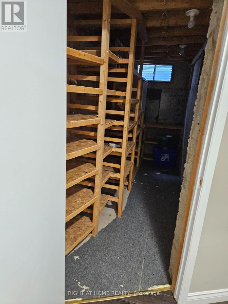 Basement - 56 Mccallum Drive, Richmond Hill, Ontario  L4C 7S8 - Photo 19 - N13435400