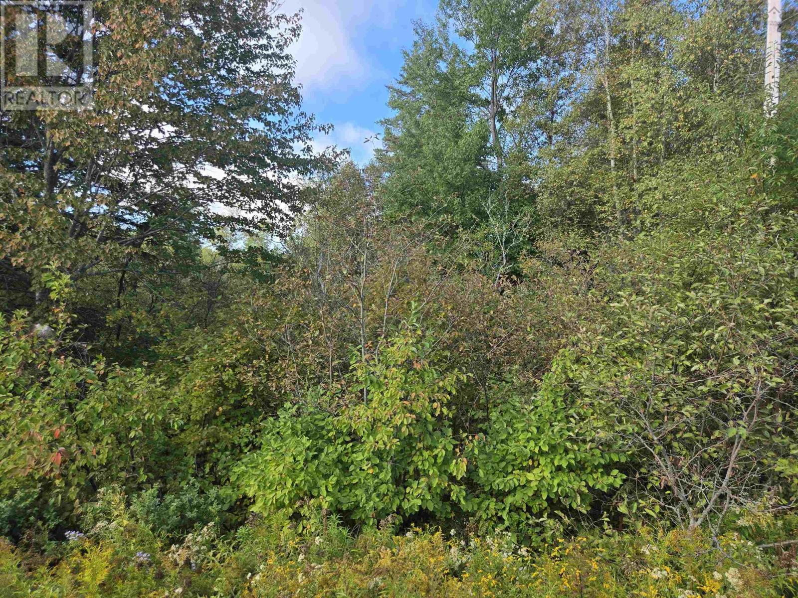 Lot 7 Highway 368, Fountain Road, Nova Scotia  B0K 1Y0 - Photo 2 - 202523364