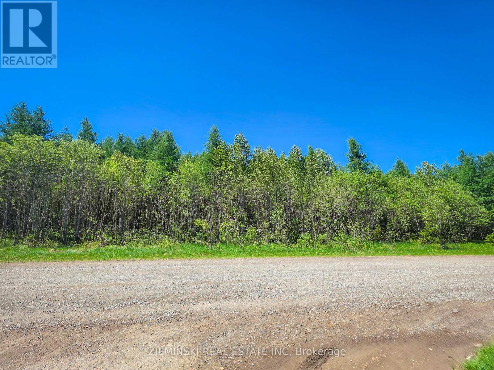 1/2 Lt 9 Con 4 Currie, Black River-Matheson, Ontario  P0K 1N0 - Photo 3 - T13435658