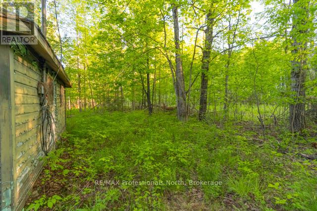 1068 Woods Road, Dysart Et Al (Dysart), Ontario K0M 1S0 - Photo 10 - X13435744