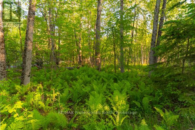 1068 Woods Road, Dysart Et Al (Dysart), Ontario K0M 1S0 - Photo 29 - X13435744