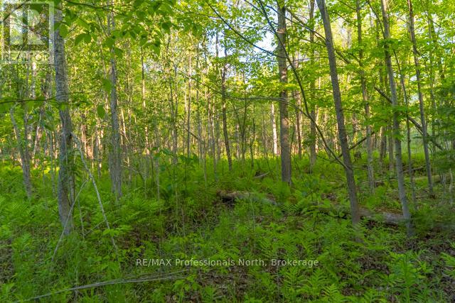 1068 Woods Road, Dysart Et Al (Dysart), Ontario K0M 1S0 - Photo 30 - X13435744