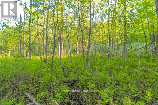 1068 Woods Road, Dysart Et Al (Dysart), Ontario K0M 1S0 - Photo 31 - X13435744