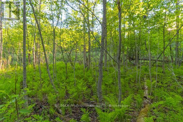 1068 Woods Road, Dysart Et Al (Dysart), Ontario K0M 1S0 - Photo 32 - X13435744