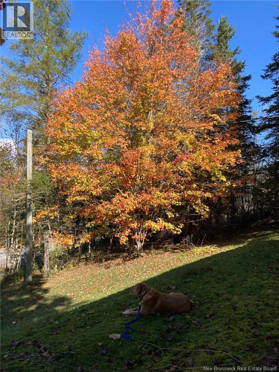 5746 Route 127, Bocabec, New Brunswick  E5B 3J7 - Photo 42 - NB141675