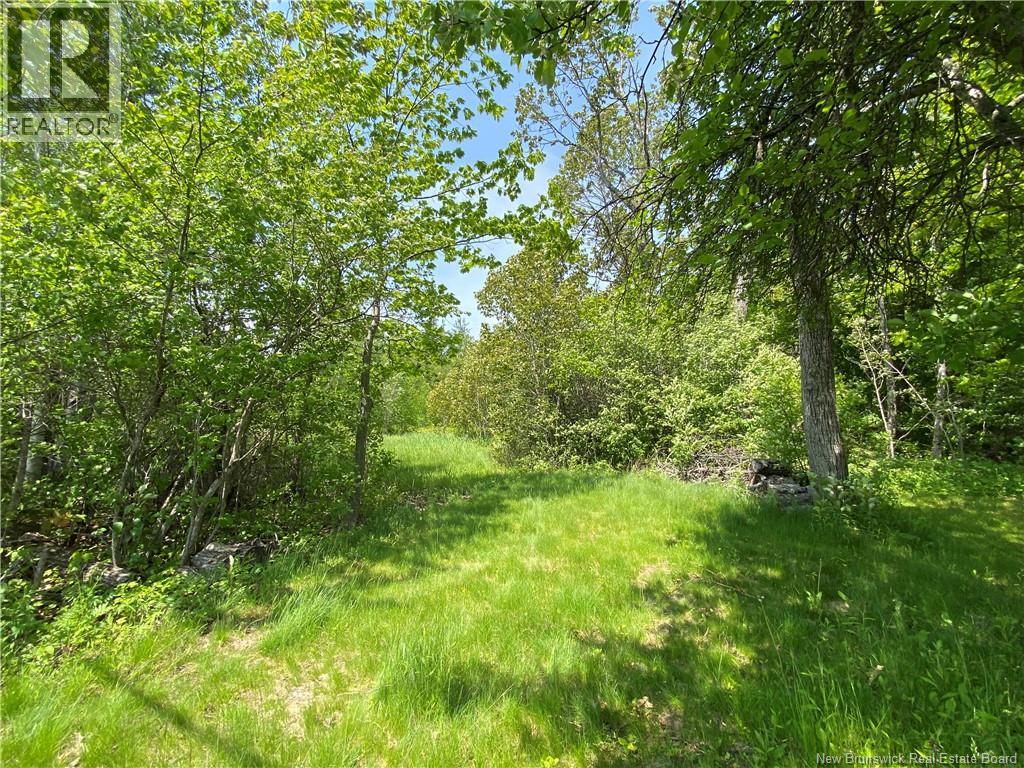 Lot Route 134, shediac cape, New Brunswick
