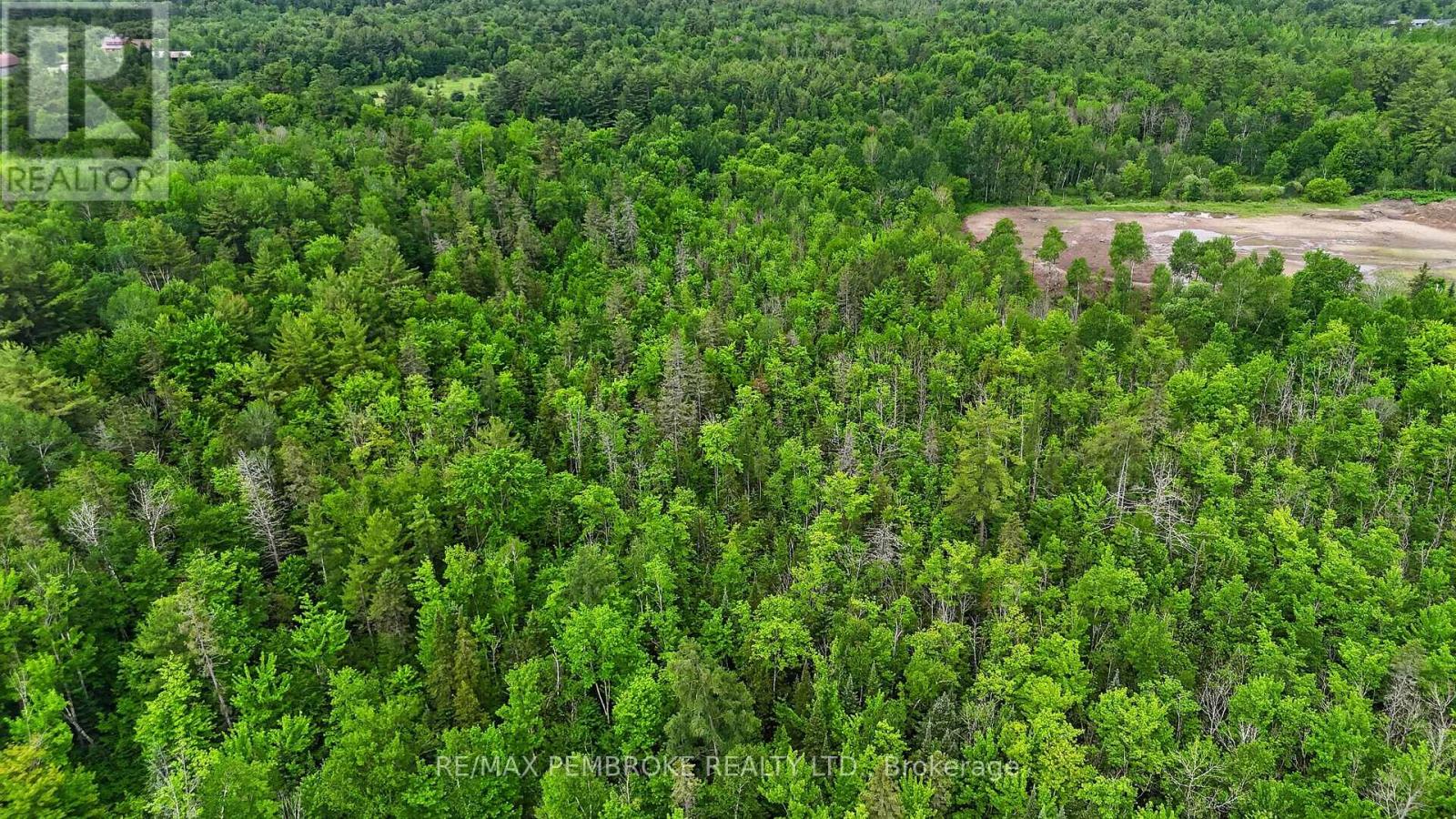 61 Oak Avenue, Petawawa, Ontario  K8H 0B5 - Photo 49 - X13435776