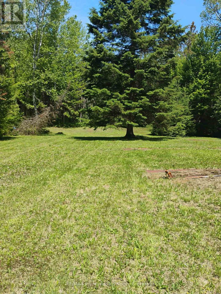 1056 Outram Road, Highlands East, Ontario  K0L 3C0 - Photo 10 - X13151664