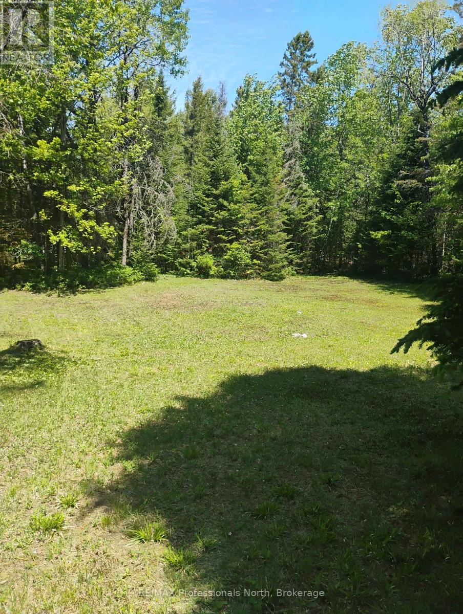 1056 Outram Road, Highlands East, Ontario  K0L 3C0 - Photo 9 - X13151664