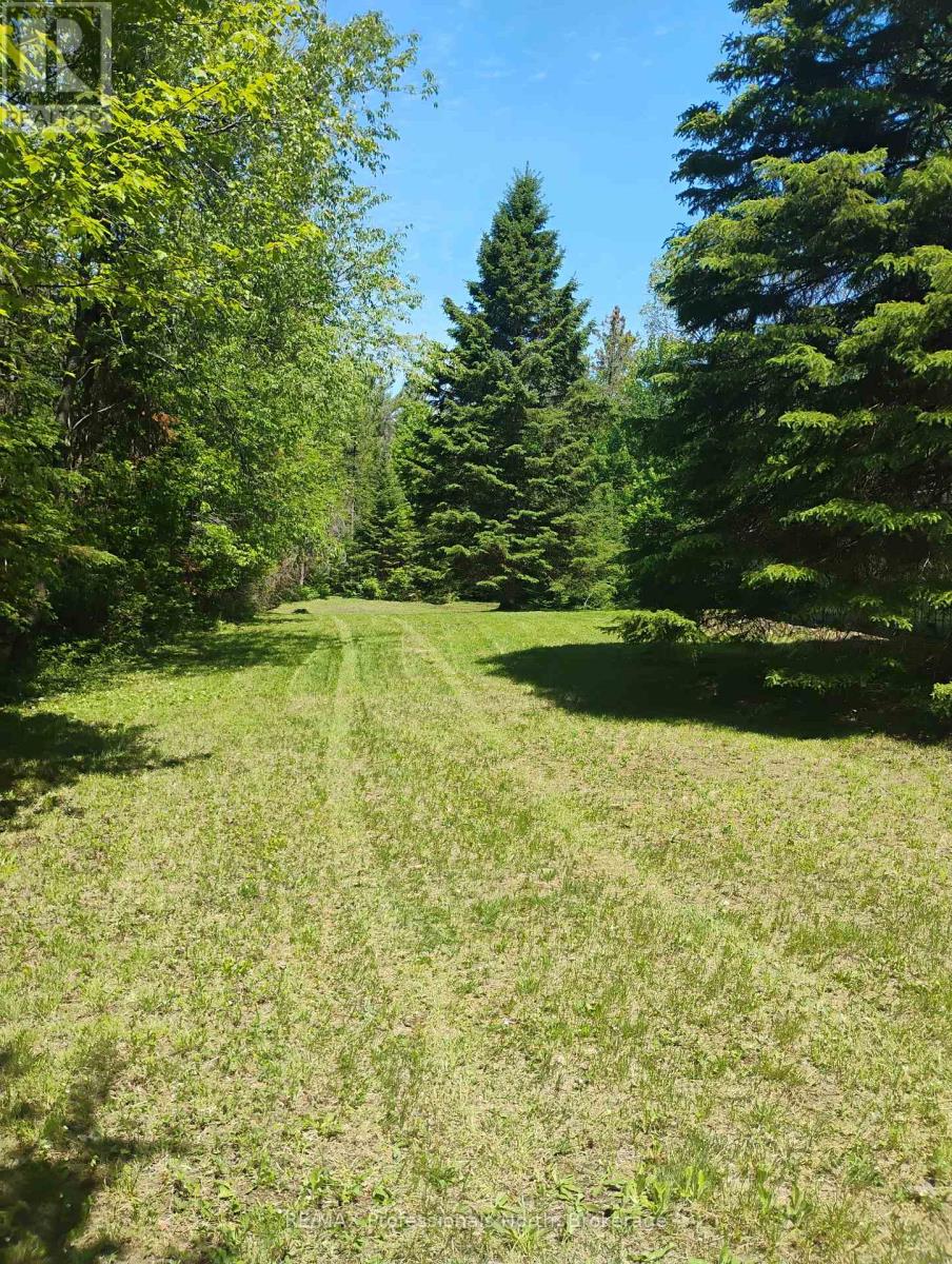 1056 Outram Road, Highlands East, Ontario  K0L 3C0 - Photo 11 - X13151664