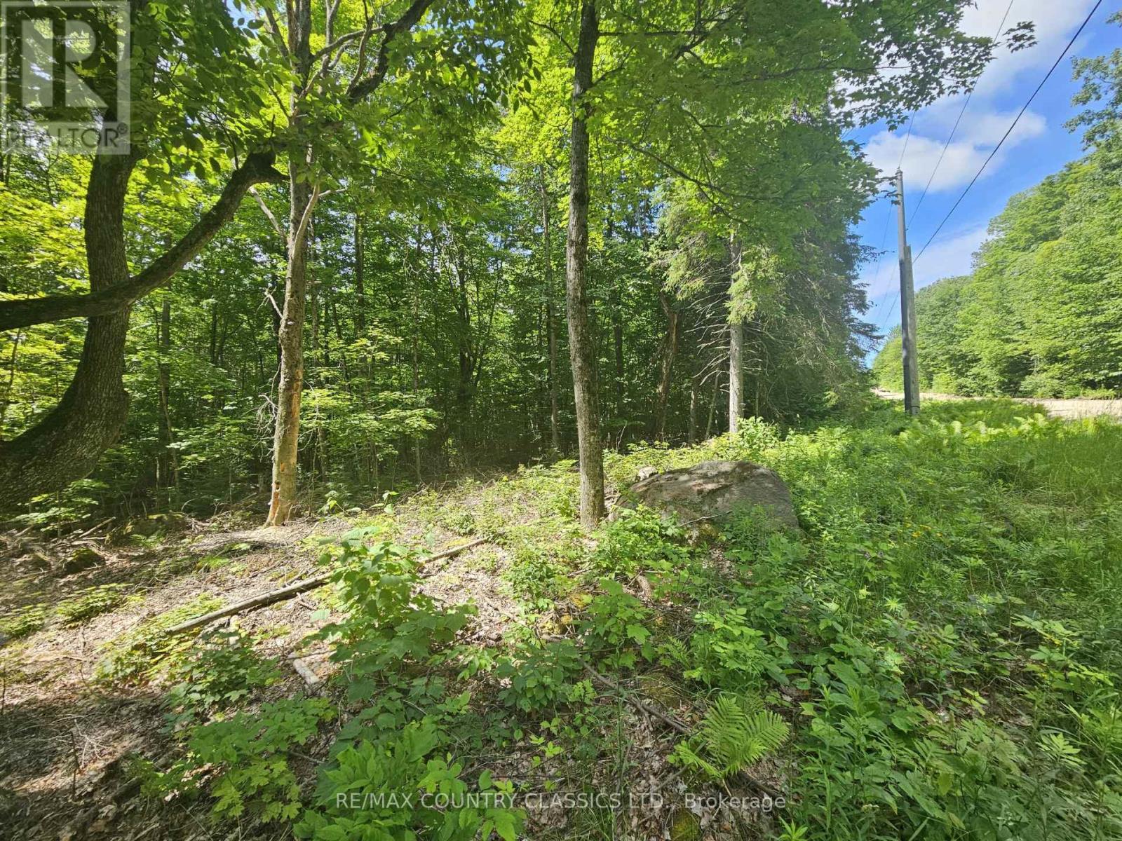 Pt Lt 22 O'grady Settlement Road, Brudenell, Ontario  K0J 2A0 - Photo 1 - X13436002