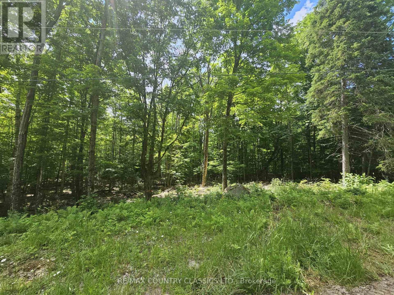 Pt Lt 22 O'grady Settlement Road, Brudenell, Ontario  K0J 2A0 - Photo 2 - X13436002