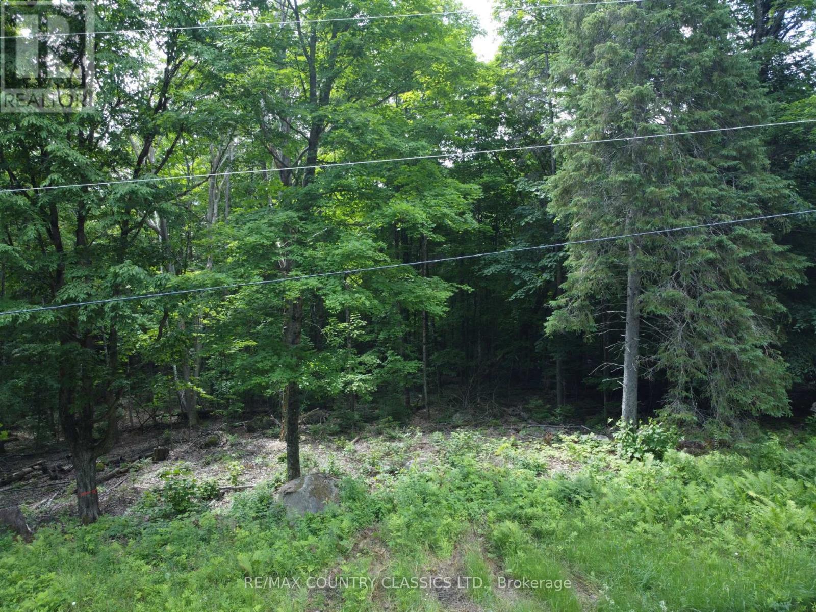 Pt Lt 22 O'grady Settlement Road, Brudenell, Ontario  K0J 2A0 - Photo 5 - X13436002