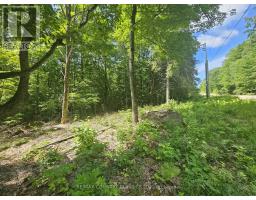 PT LT 22 O'GRADY SETTLEMENT ROAD, Brudenell, Ontario
