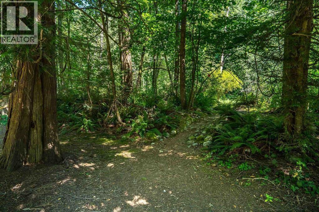 23463 Dogwood Avenue, Maple Ridge, British Columbia  V2X 4S4 - Photo 21 - R3134476
