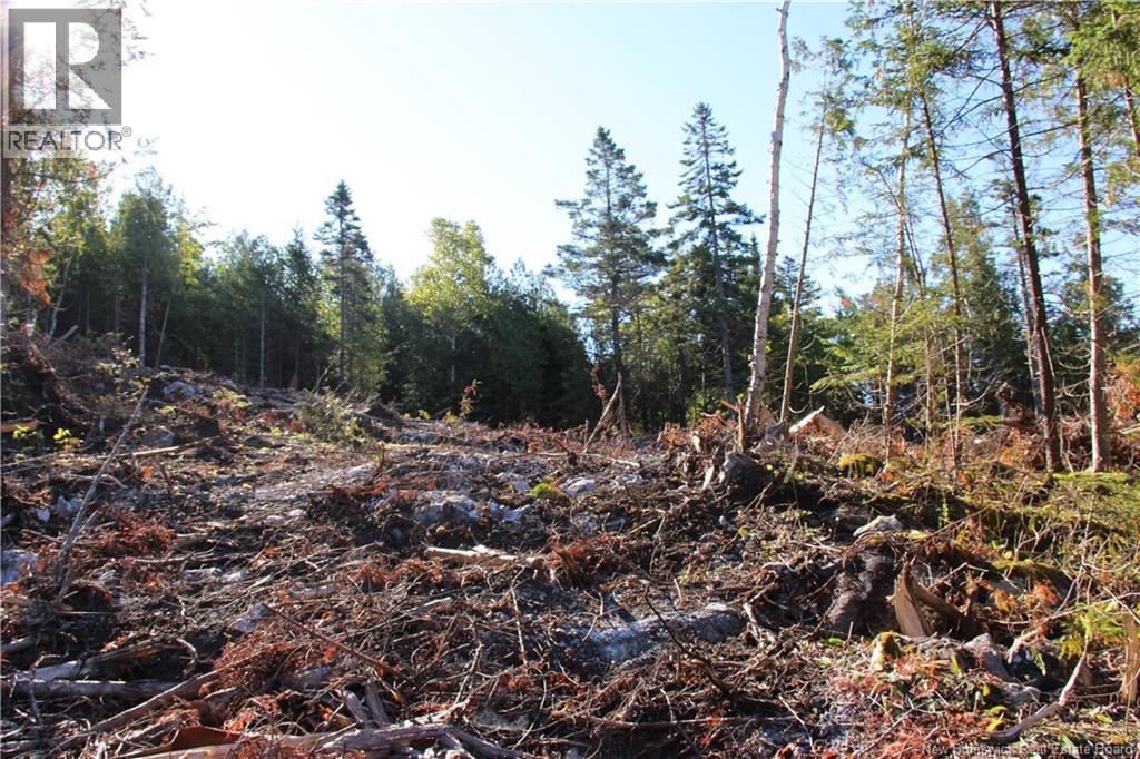 Lot C-9/10 Shoreline Drive, Saint John, New Brunswick  E2H 0B2 - Photo 7 - NB141787
