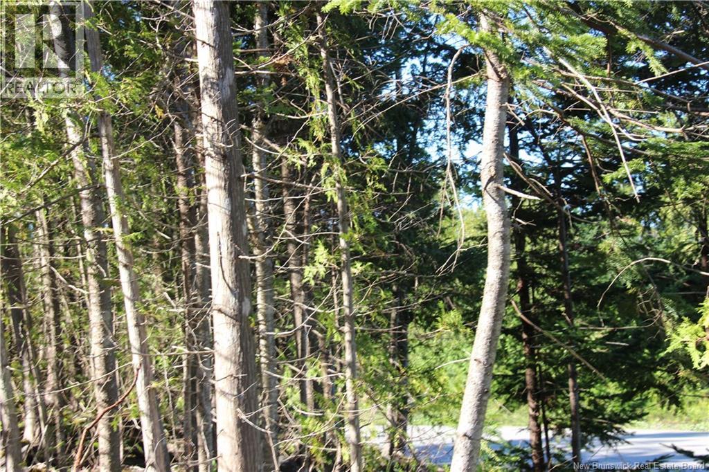 Lot C-9/10 Shoreline Drive, Saint John, New Brunswick  E2H 0B2 - Photo 12 - NB141787