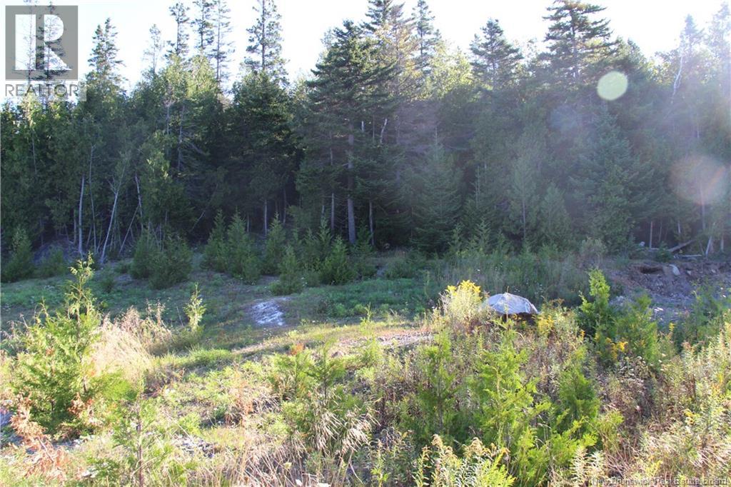 Lot C-9/10 Shoreline Drive, Saint John, New Brunswick  E2H 0B2 - Photo 4 - NB141787
