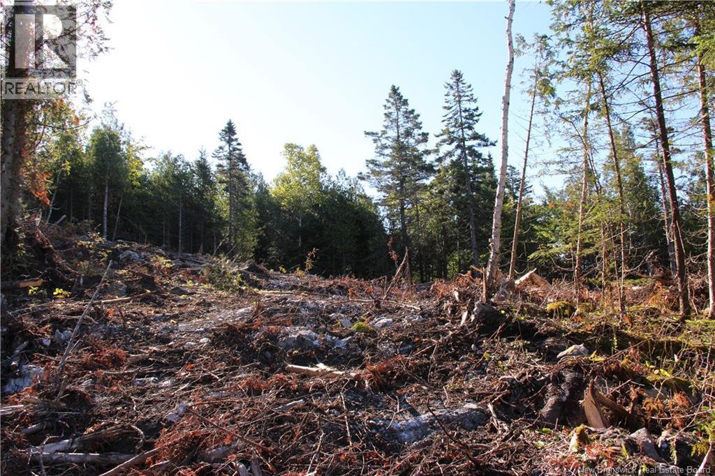 Lot C-9/10 Shoreline Drive, Saint John, New Brunswick  E2H 0B2 - Photo 9 - NB141787