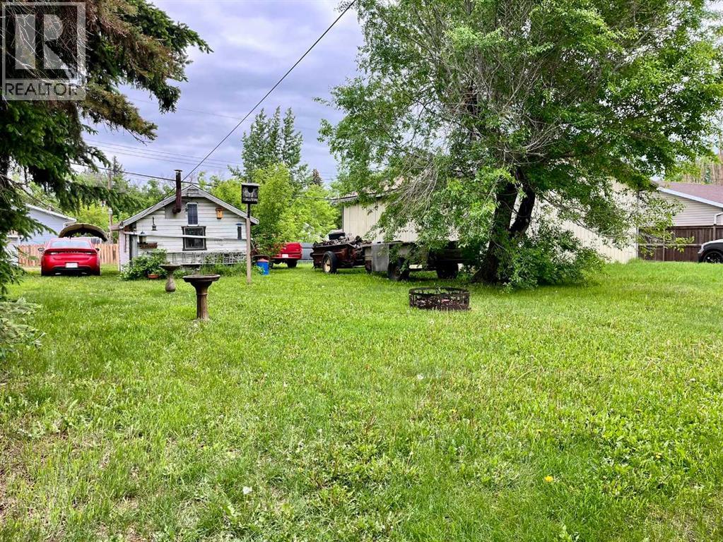 4836 51 Avenue, Viking, Alberta  T0B 4N0 - Photo 18 - A2320264