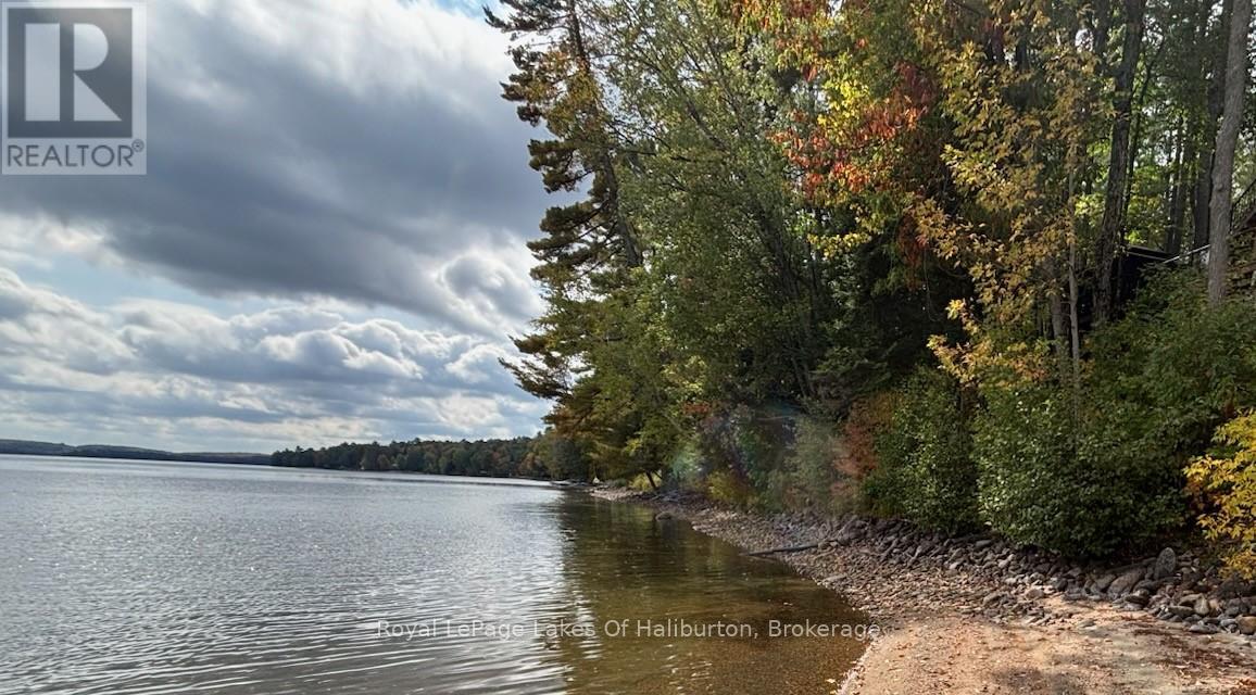 1272 Boshkung Lake Road, Algonquin Highlands (Stanhope), Ontario  K0M 1S0 - Photo 6 - X13431164