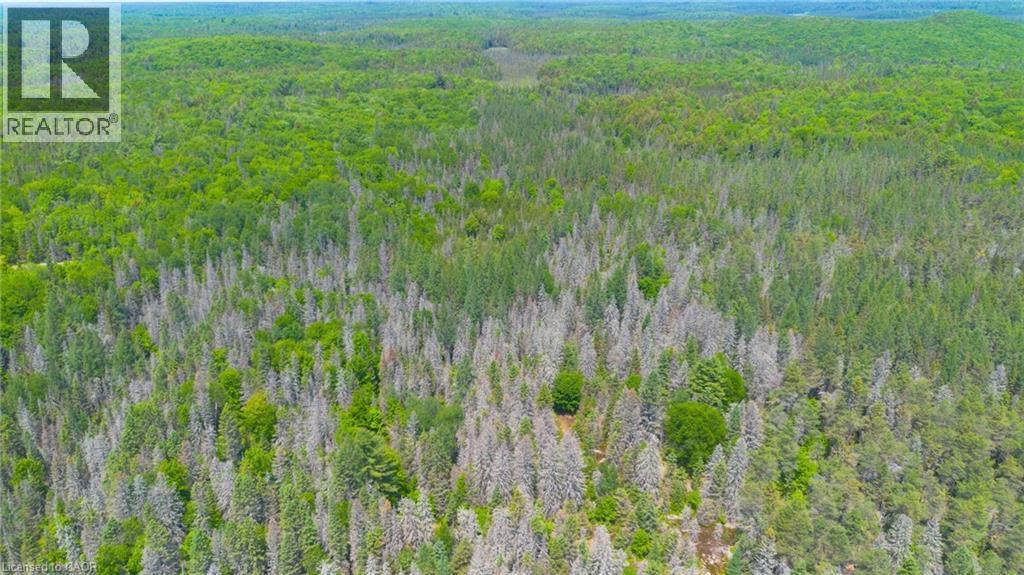 3994 Eagle Lake Road, Lount, Ontario  P0A 1X0 - Photo 44 - 40839269
