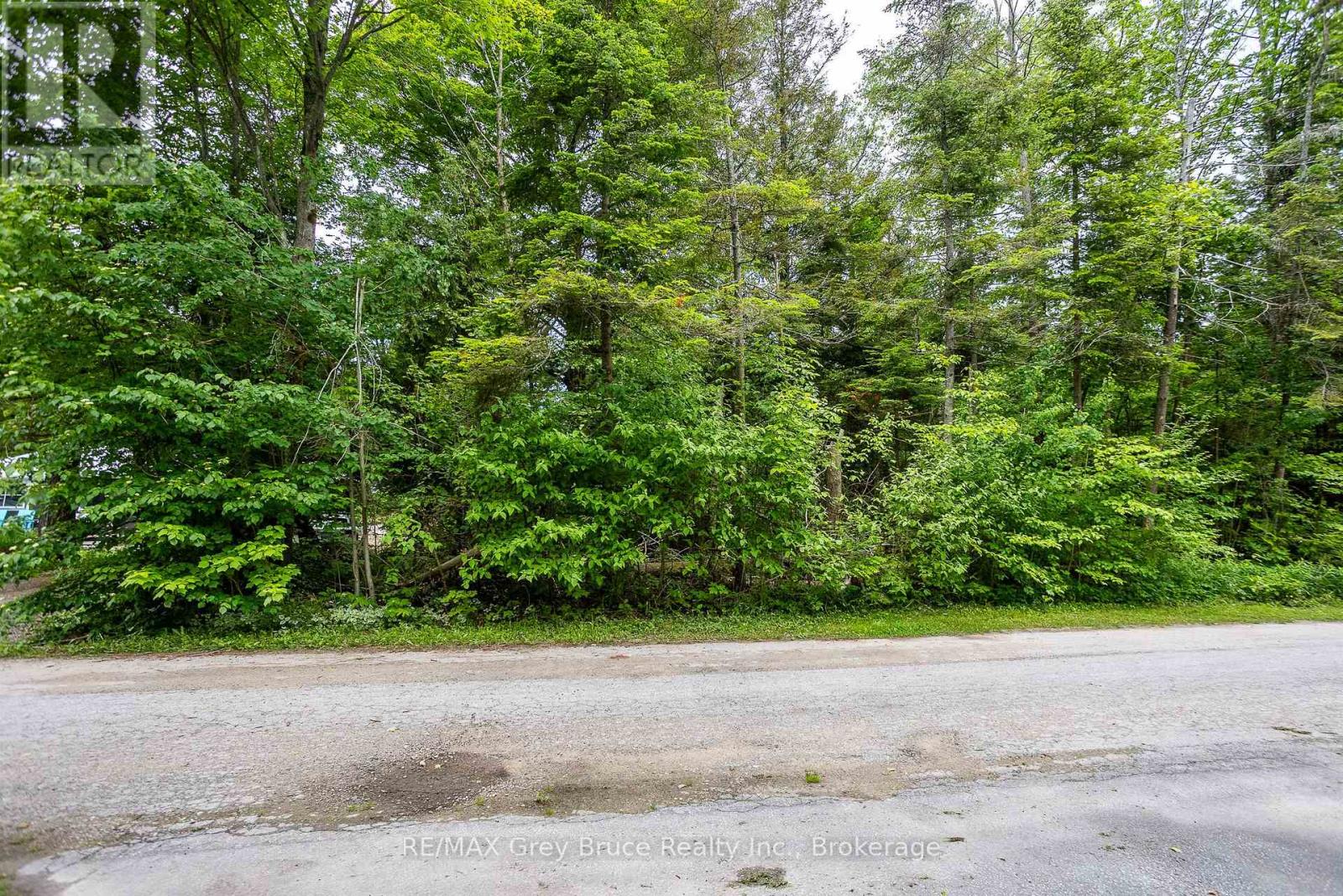 12 & 14 Toronto Avenue, South Bruce Peninsula, Ontario  N0H 2G0 - Photo 14 - X13436286