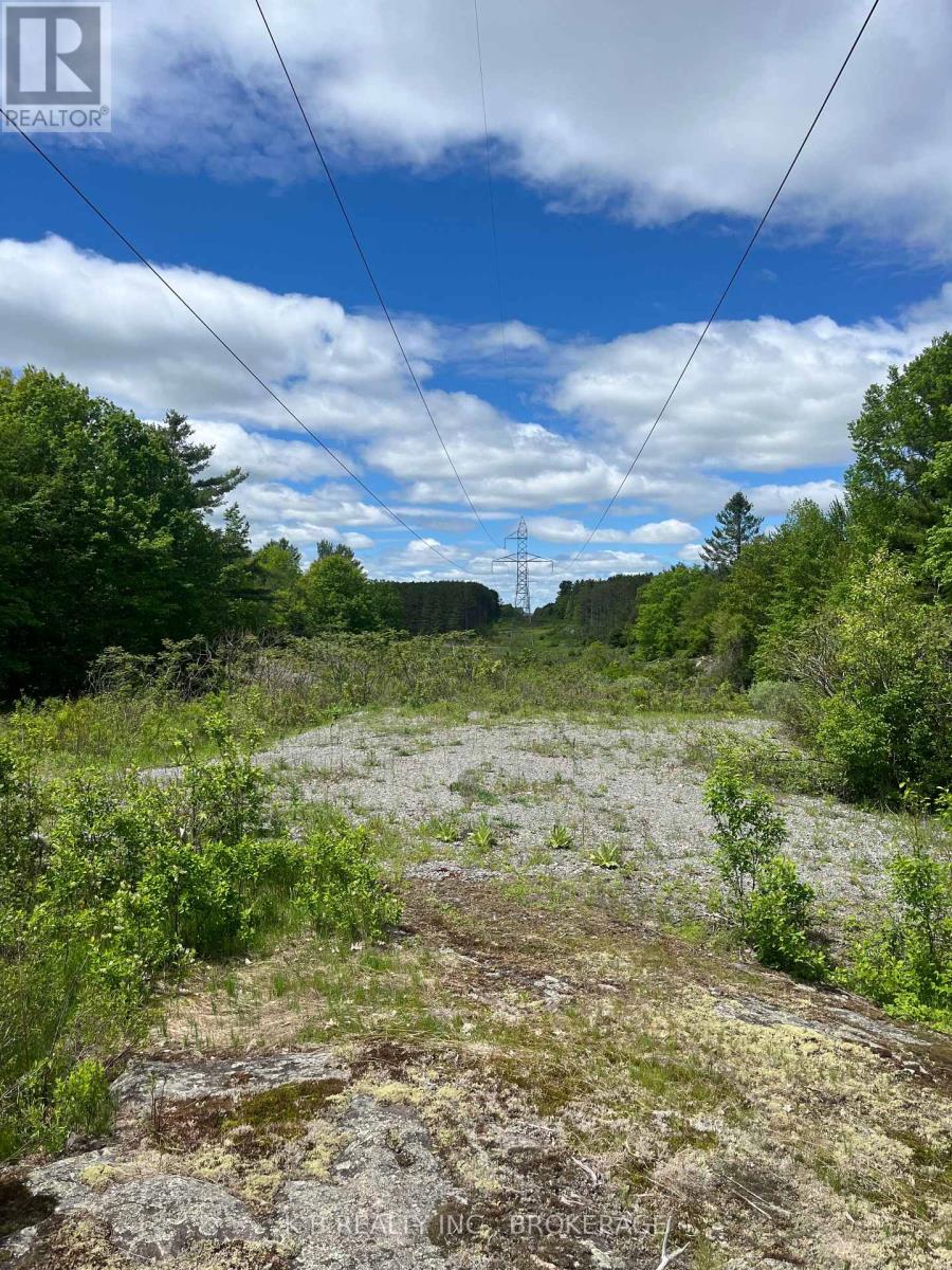 2970 Mountain Road, Stone Mills, Ontario  K0K 1Z0 - Photo 18 - X13416522