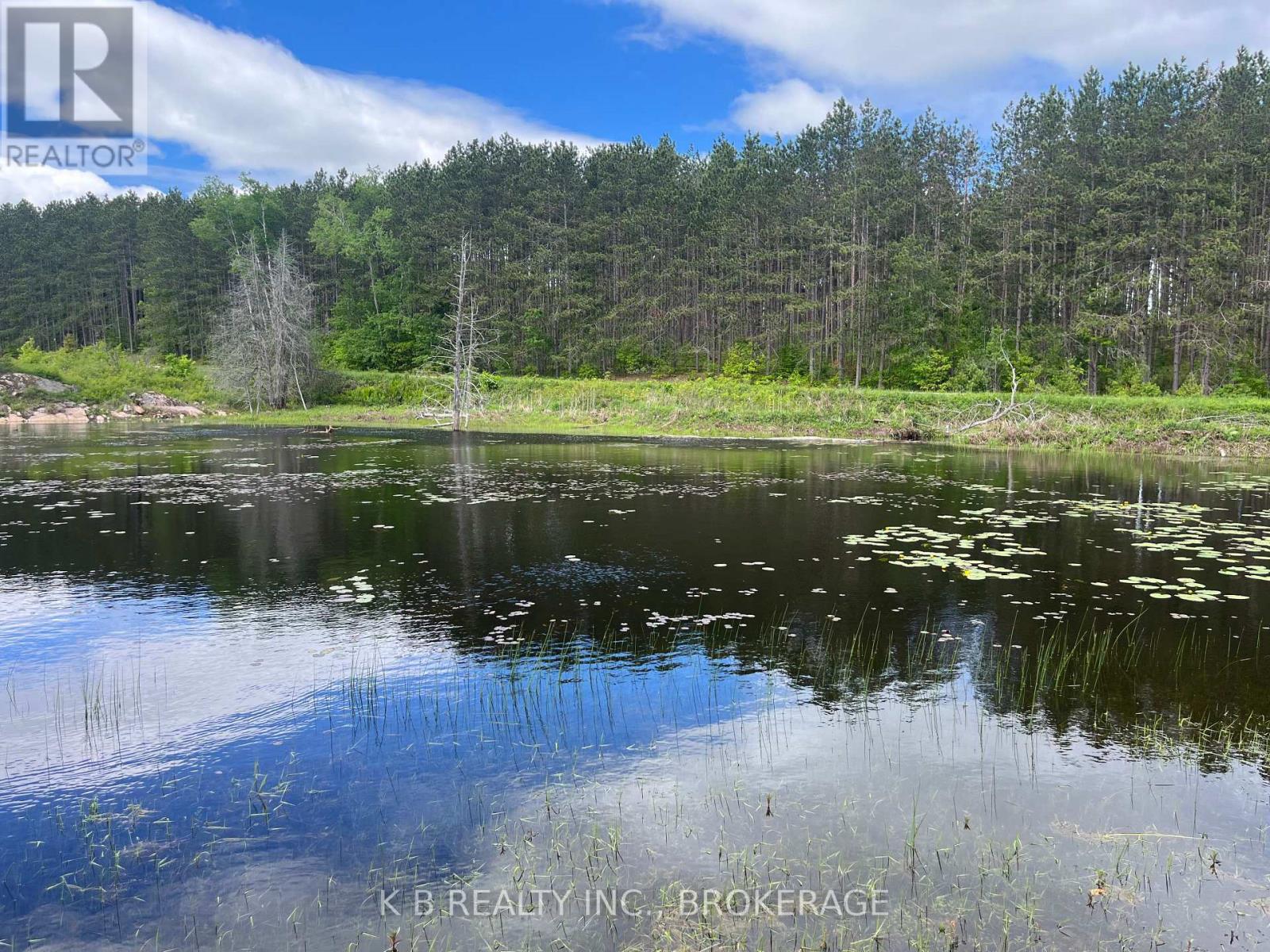 2970 Mountain Road, Stone Mills, Ontario  K0K 1Z0 - Photo 13 - X13416522